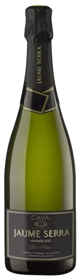 жауме серра винтаж вино игристое экстра брют белое 2020 (jaume serra extra brut reserva vintage cava do 2020) фото - магазин Krasnikov Wine