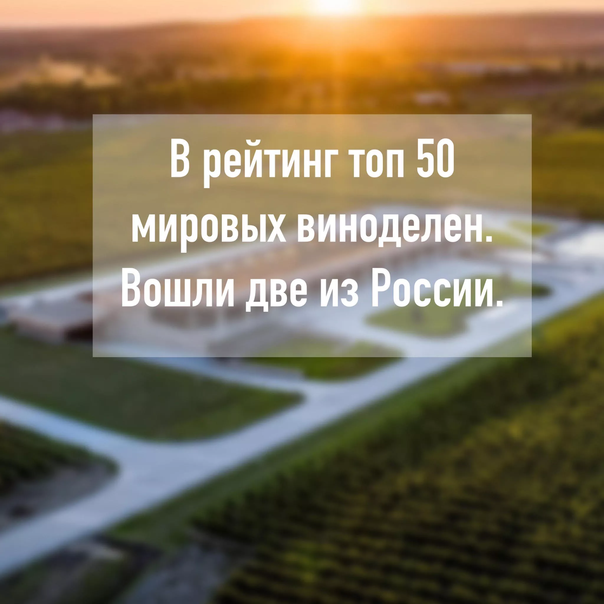 Винодельня  Имениие «Сикоры» не перестает удивлять. 